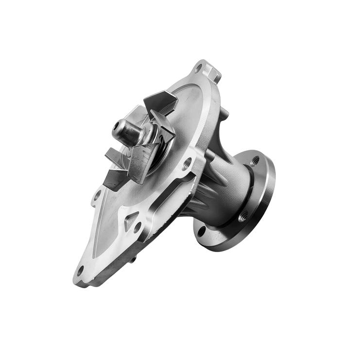 Polea PK Correa Alternador Clio Kangoo (1.6)