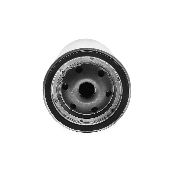 Filtro de Gasoil Ford Cargo