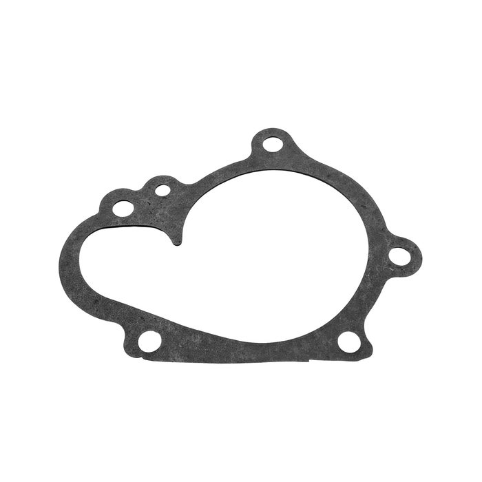 Bomba de Agua I10 Picanto (1.0/1.1)