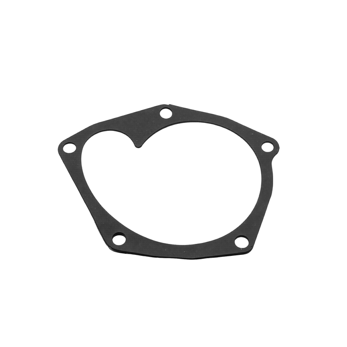 Bomba de Agua Duster Oroch (1.9D 2.0 F4R F9Q)