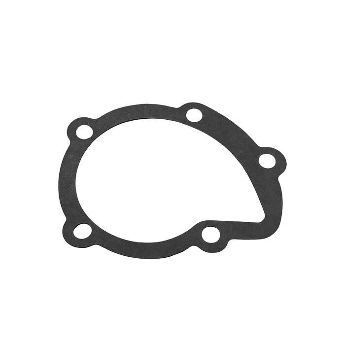 Bomba de Agua Berlingo Partner (1.6/1.8/1.9 XU7JB)