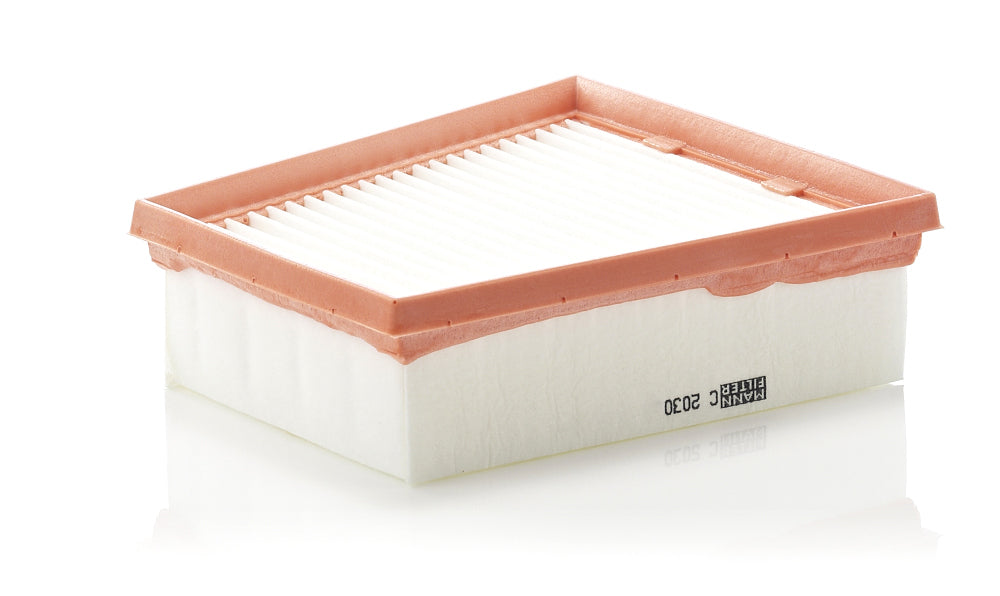 Filtro de Aire Fluence (2.0 10->)